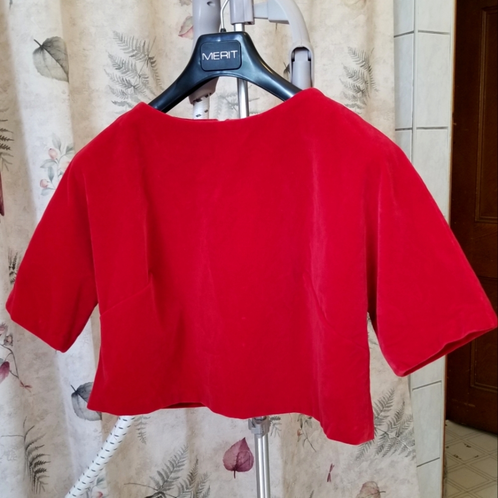 Vintage velvet cropped top ~Large